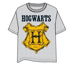 Camiseta Hogwarts Harry...