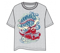 Camiseta Hogwarts Express...