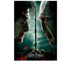 Puzzle Harry vs Voldemort...