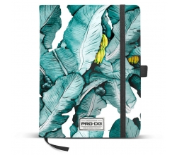 Diario Pro DG Varadero