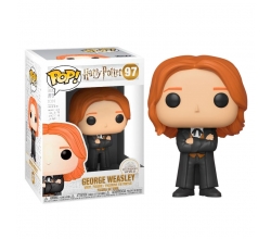 Figura POP Harry Potter...