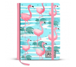 Diario Florida Oh My Pop
