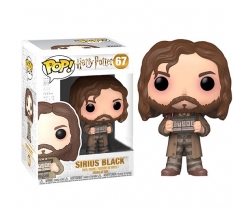 Figura POP Harry Potter...