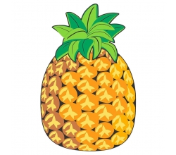 Toalla Piña microfibra