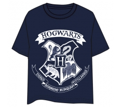 Camiseta Hogwarts Harry...