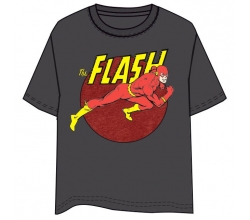 Camiseta Flash DC Comics...