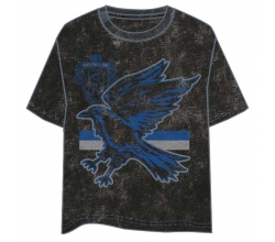Camiseta Ravenclaw Harry...