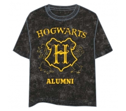 Camiseta Hogwarts Harry...