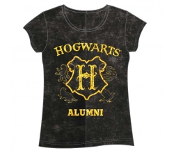 Camiseta Hogwarts Harry...