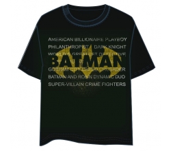 Camiseta Letras Batman DC...