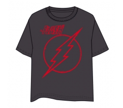 Camiseta Flash DC Comics...