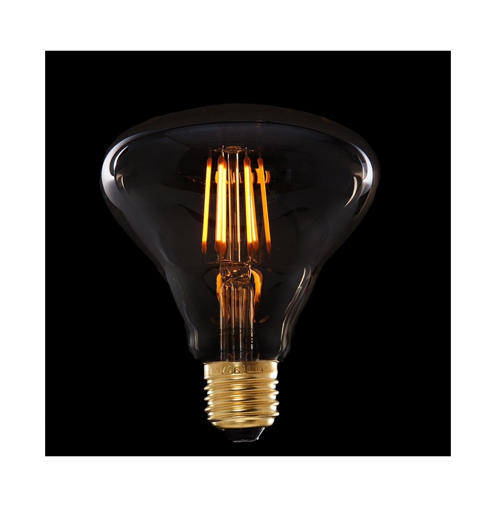 Bombilla Vintage LED Br95 Frida 6W E27 [AM-AL791]