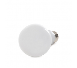 Bombilla de LEDs Cct/Intensidad Control Remoto 10W 900Lm