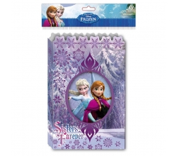 Diario caja Frozen Disney