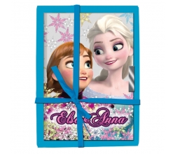 Diario Frozen Disney Soul